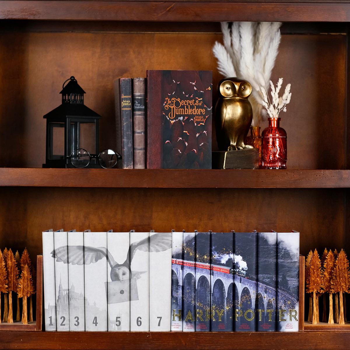 Fantastic Beasts: The Secrets of Dumbledore Single Book & Jacket - MTO