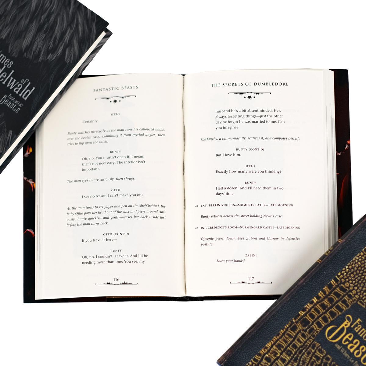 Fantastic Beasts: The Secrets of Dumbledore Single Book & Jacket - MTO