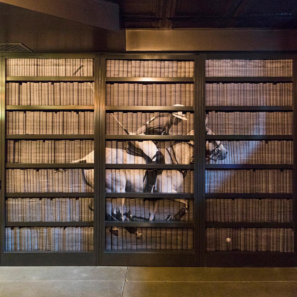 Bookshelf with a Hidden Door