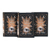 All Atlas Series book covers lined up. Front covers of jackets feature woodcut eye illustration between book title and author name surrounded by copper colored stars and ornamental detailing.