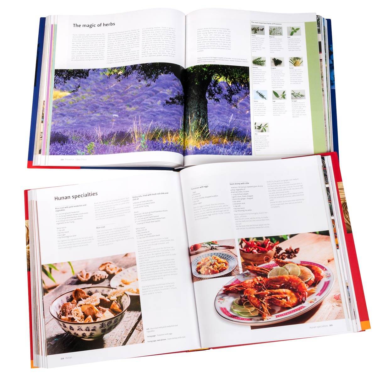 Culinaria Cookbook Set - MTO