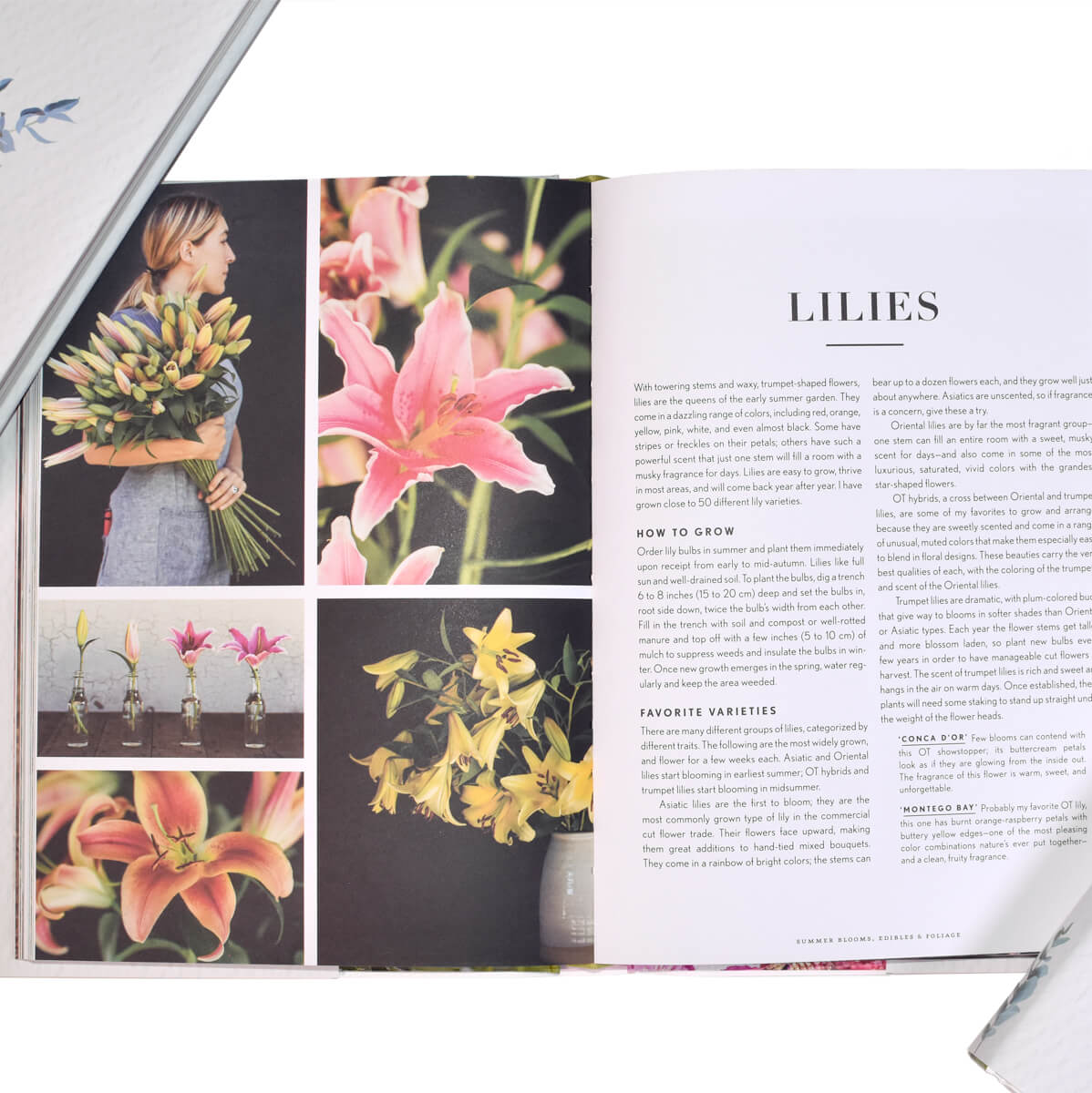 Indoor Gardening and Floral Arrangement Book Set - MTO