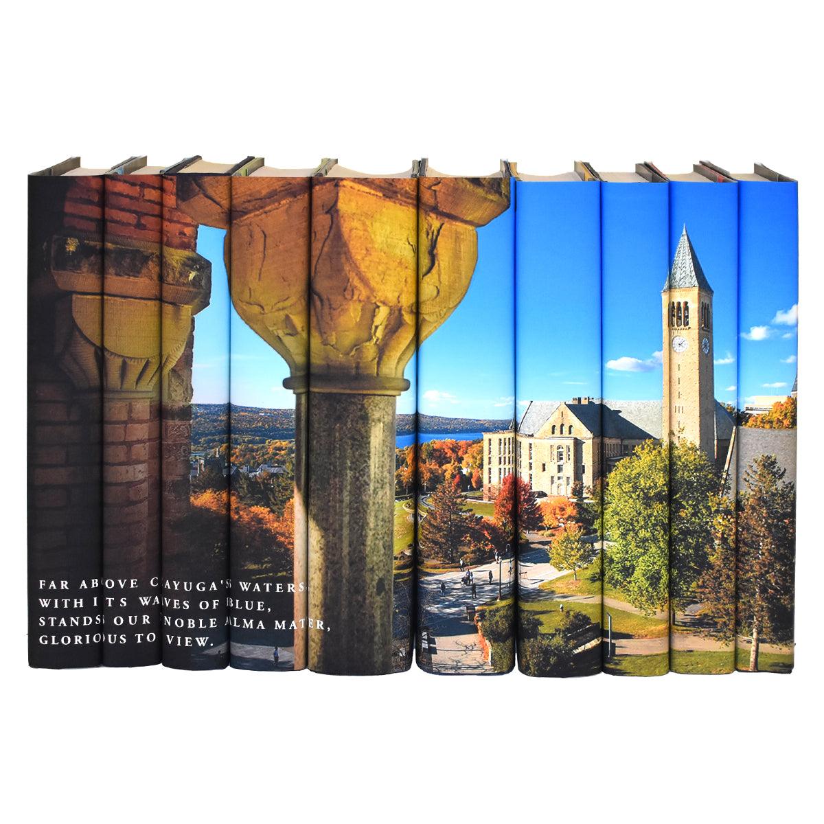 College Logos and Mascots on a Book Set - Full Custom - Get Started with a Deposit! - Juniper Custom