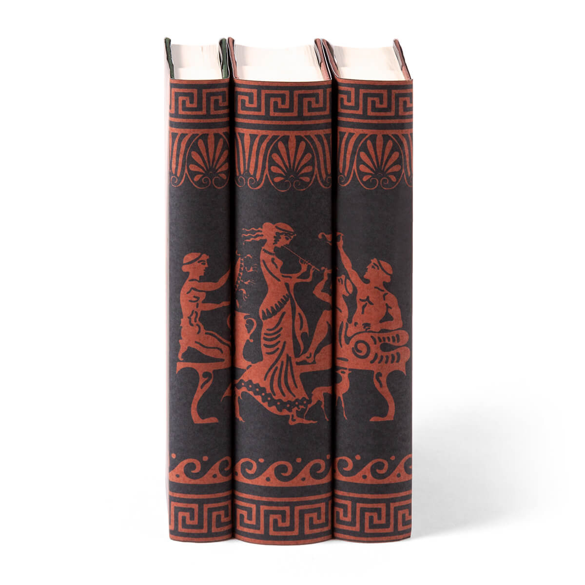 The beauty of Greek art and literature come together in this beautiful three volume set of classics. Order the three book set as shown, and we will custom make it for you. The custom-printed jackets, inspired by Greek pottery, unify the stories for an eye-catching design on the shelves.