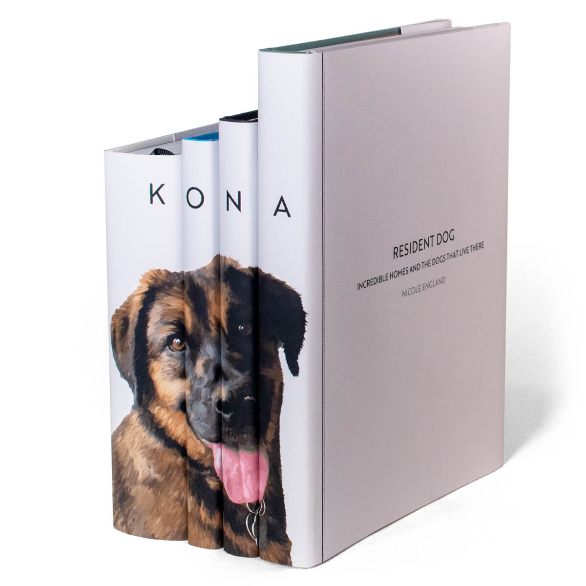 Angled view of custom Family Pet Book Set with visible book jacket spine and cover design by Juniper Custom.