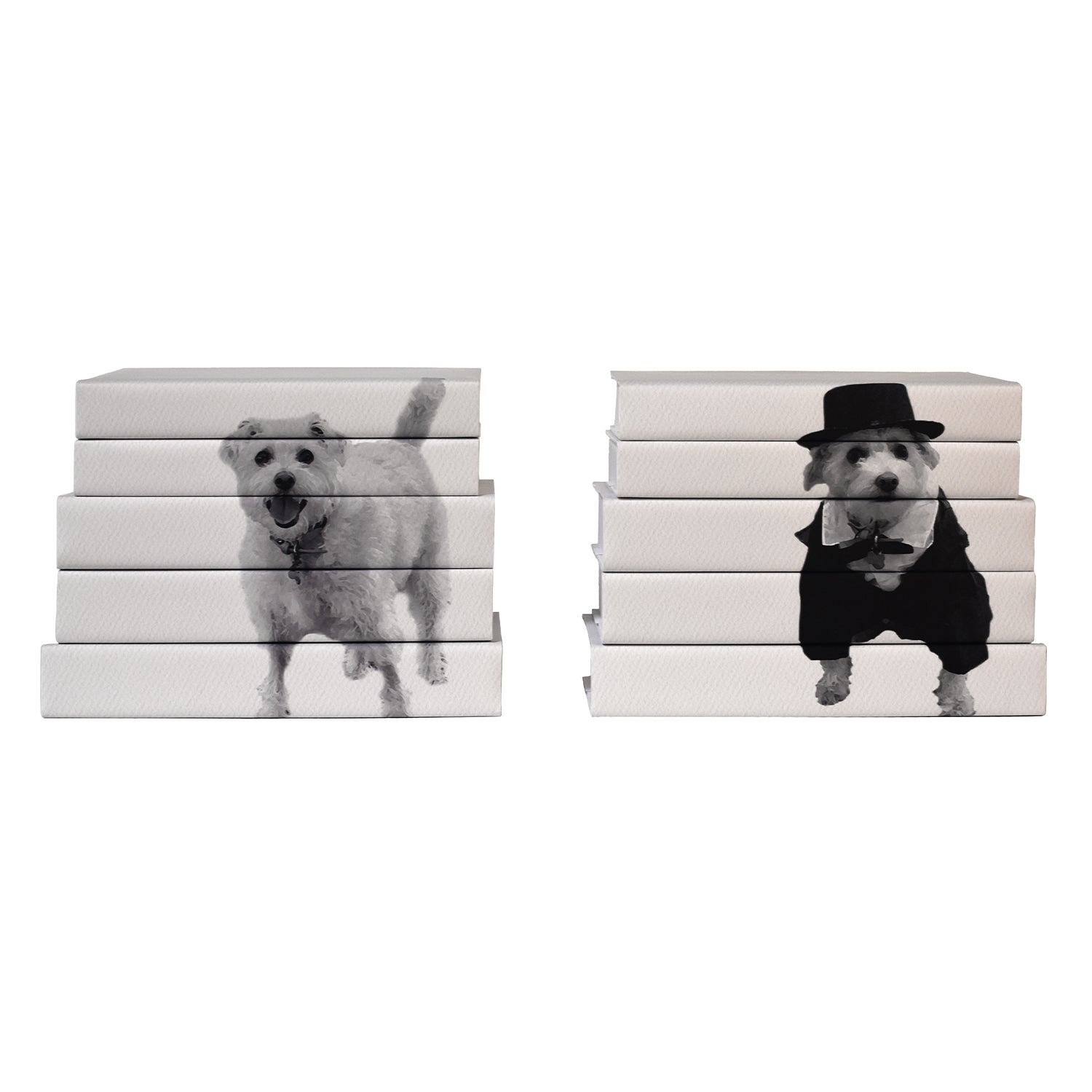 Bespoke Family Pet Book Set styled with custom designed book jackets from Juniper Custom.