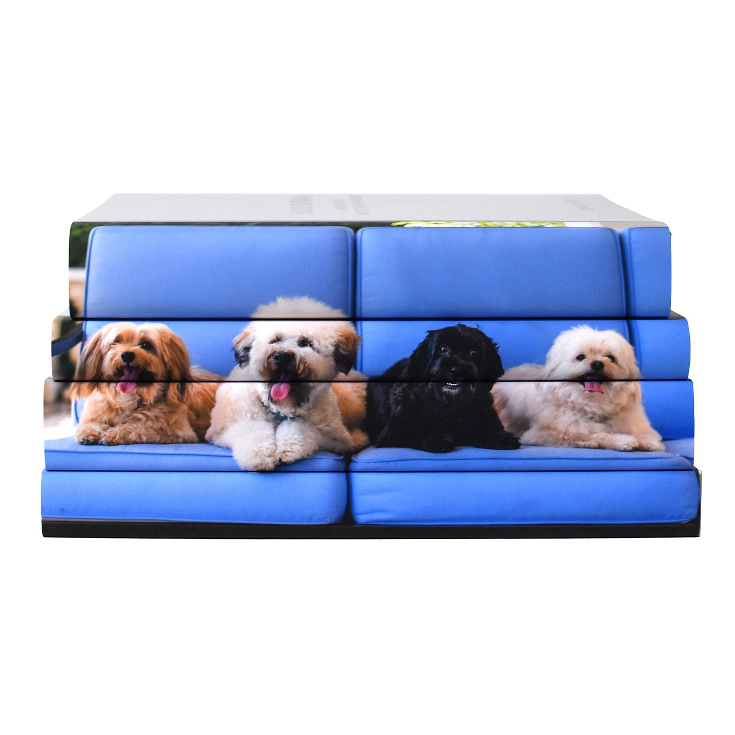 Luxury Family Pet Book Set styled with custom designed book jackets from Juniper Custom.