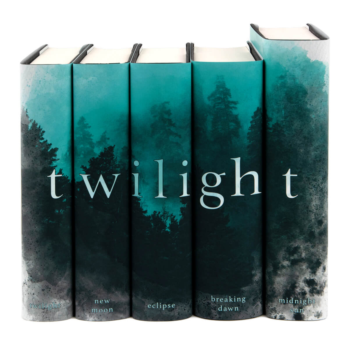 Customized The Twilight Saga Book Set