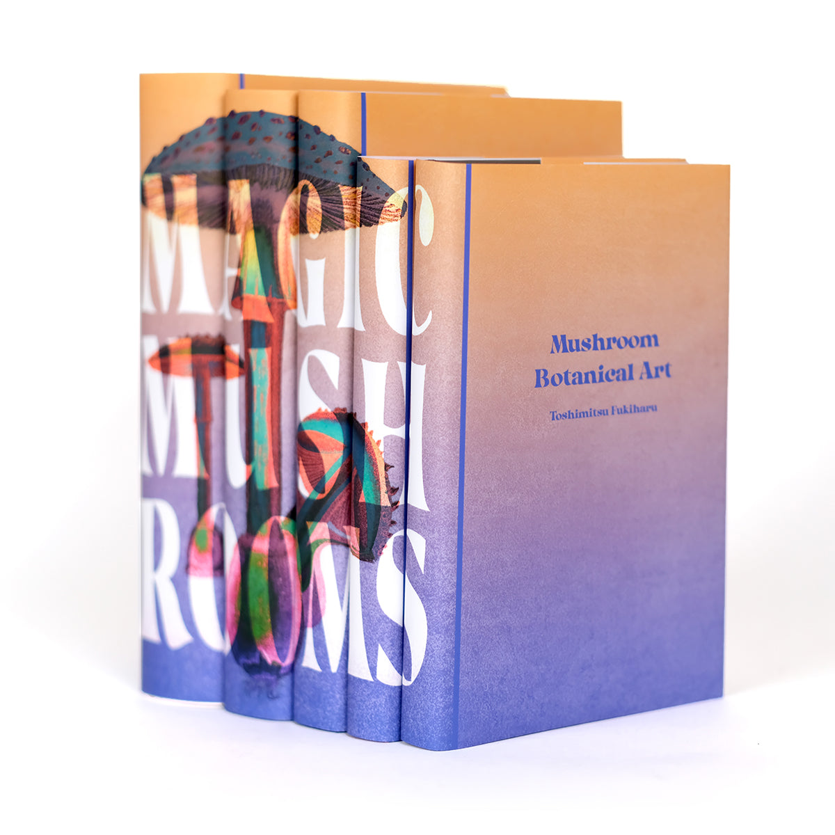 The Magic Of Mushrooms: Fungi In Folklore, Superstition And - Foto 6