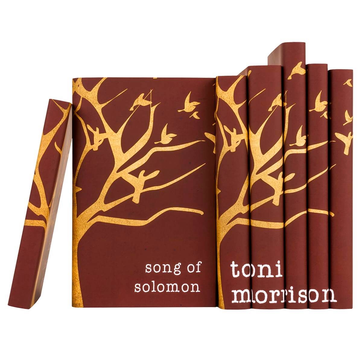 Toni Morrison Sets - MTO