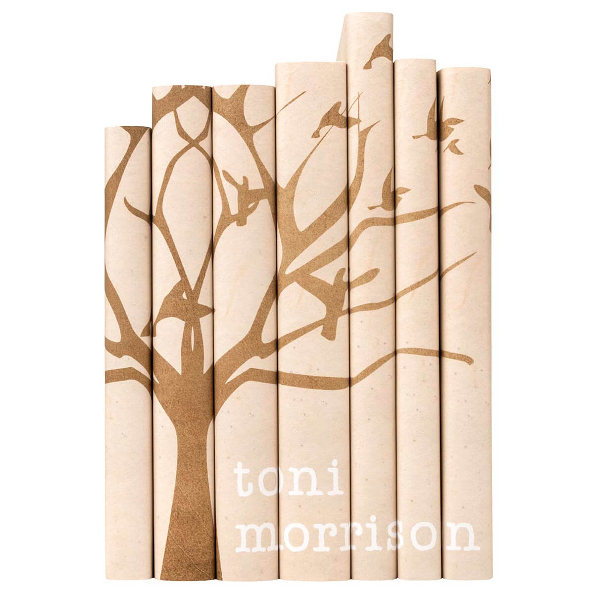 Toni Morrison Sets