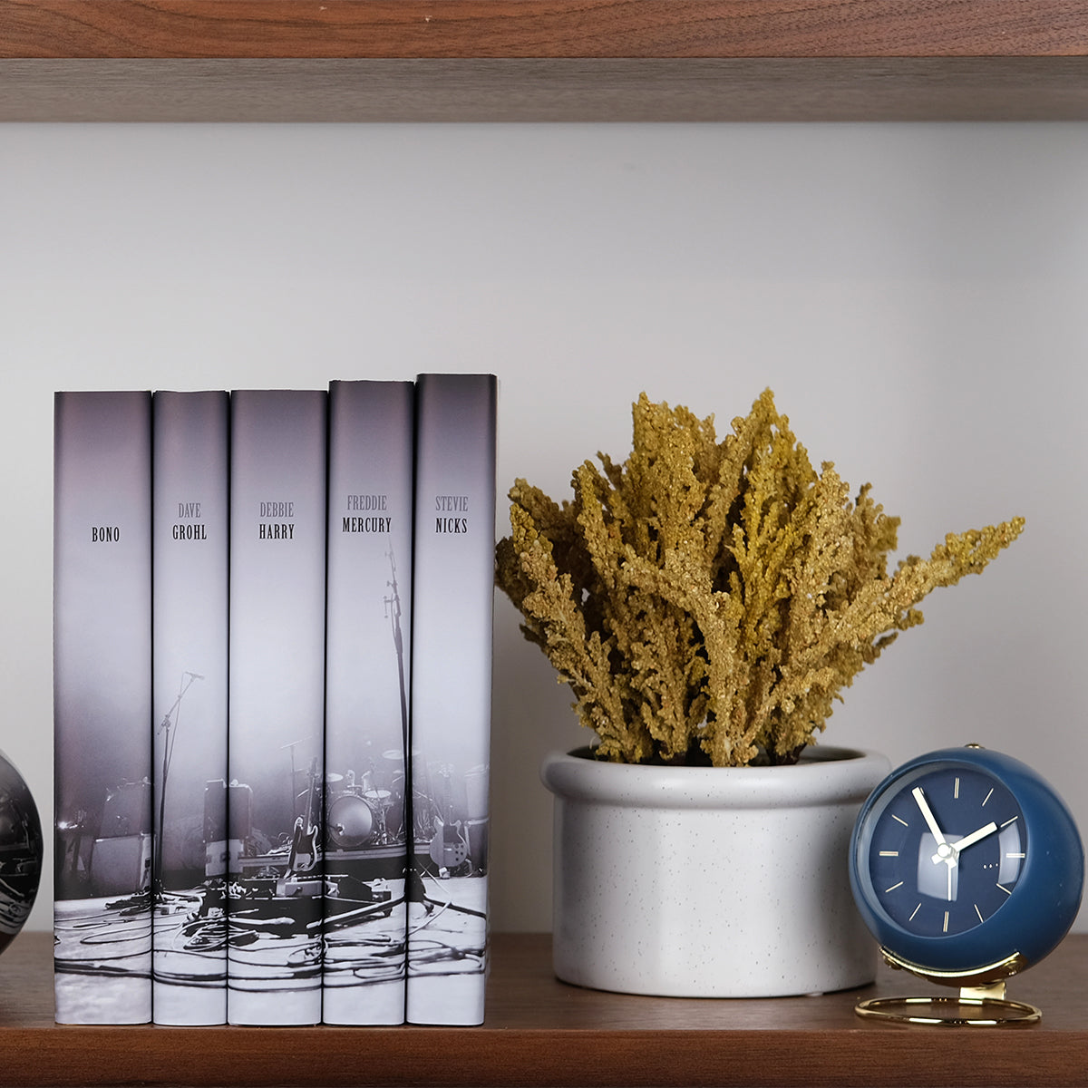 Install photo of the Legends of Rock book set on a wooden shelf sitting next to a potted plant and a blue clock.