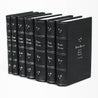Genuine black leather Harry Potter from Juniper Books with silver book titles, silver ornaments, and silver stars on spines. Front cover features book titles and author name in silver gothic font.